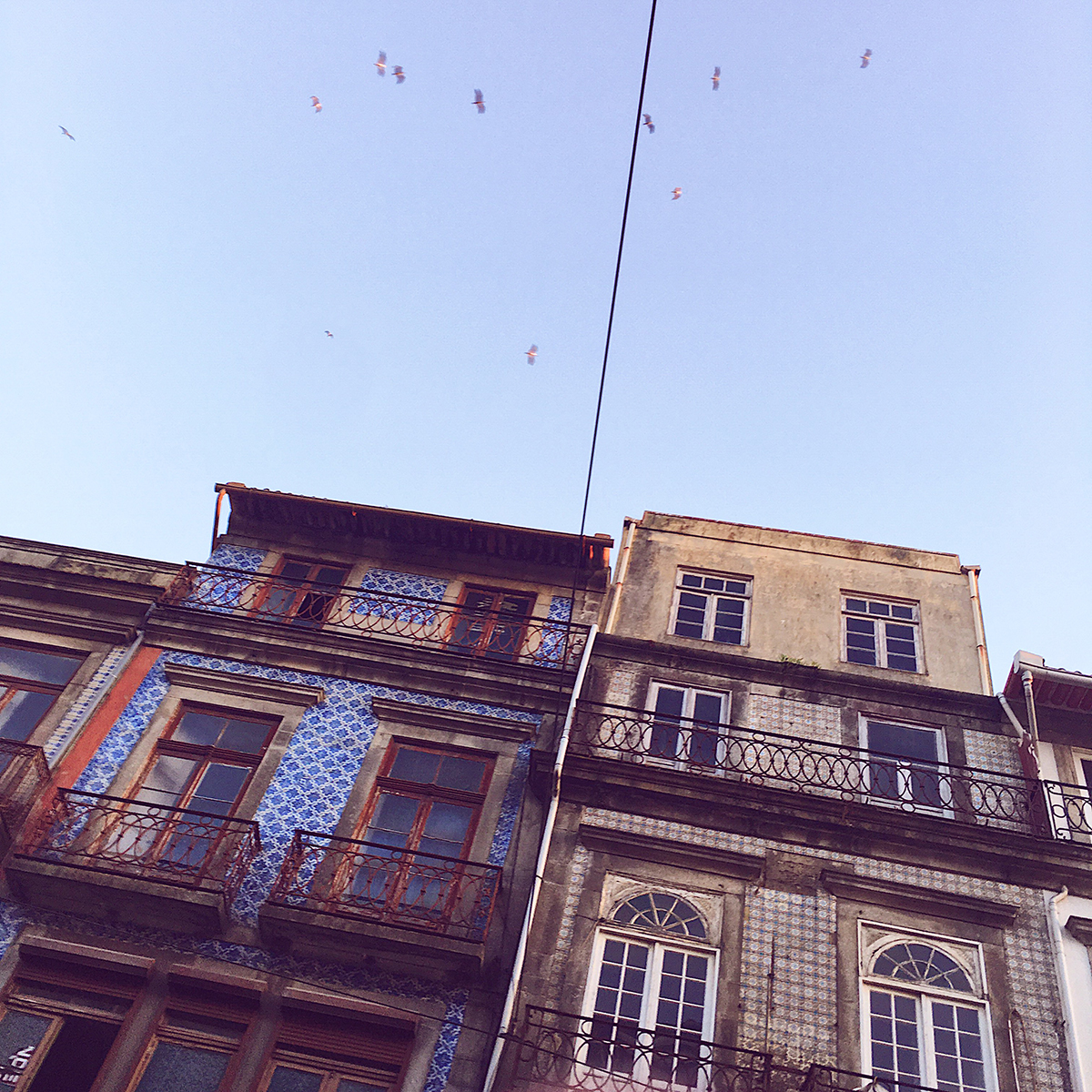 Porto en septembre